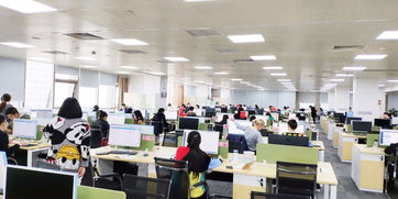 面試題 面試經(jīng)驗(yàn) 面試流程 看準(zhǔn)網(wǎng)