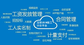 上海互聯(lián)網(wǎng)軟件集團(tuán) 高端協(xié)同管理軟件與企業(yè)管理咨詢(xún)服務(wù)提供商